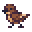 Petalwing Sparrow